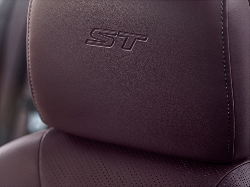 Close-up View of "ST" Detail on Headrest